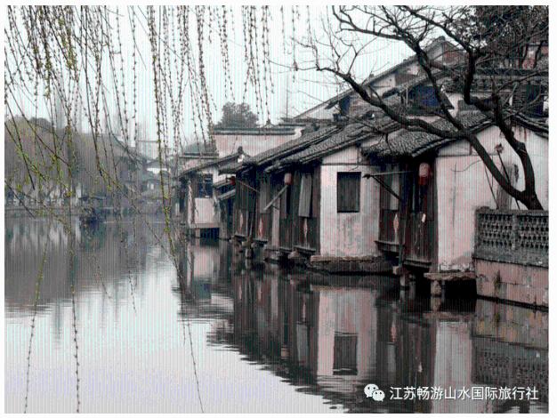 组装机械恐龙3